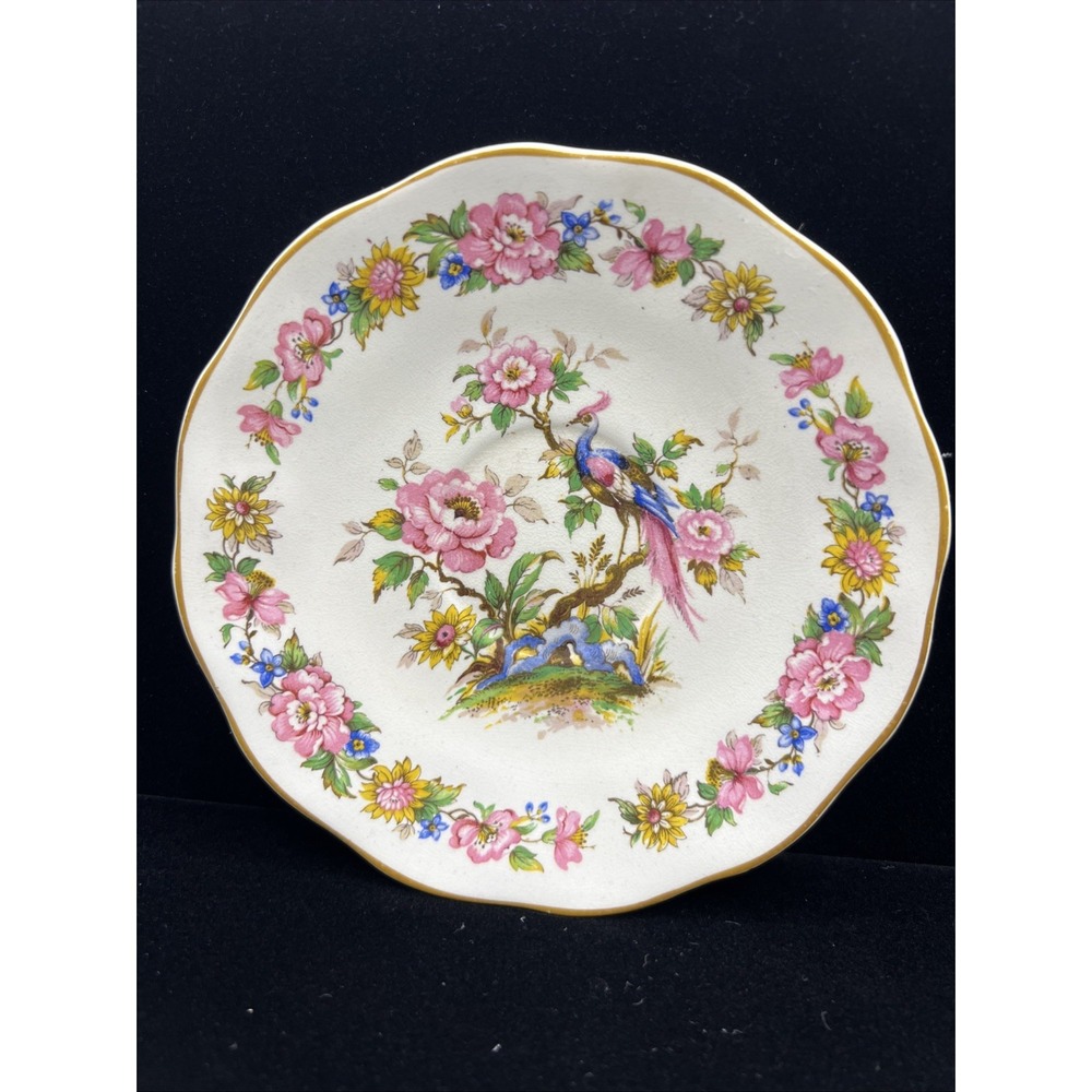 Rare Wedgwood & Co LTD 'Canterbury'‎ Design Saucer (England)